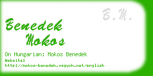 benedek mokos business card